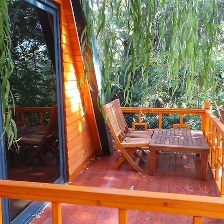 Trinitys Forest Bungalows Кемер Экстерьер фото