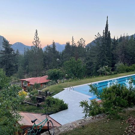 Trinitys Forest Bungalows Кемер Экстерьер фото