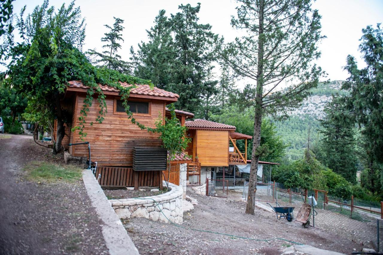 Trinitys Forest Bungalows Кемер Экстерьер фото