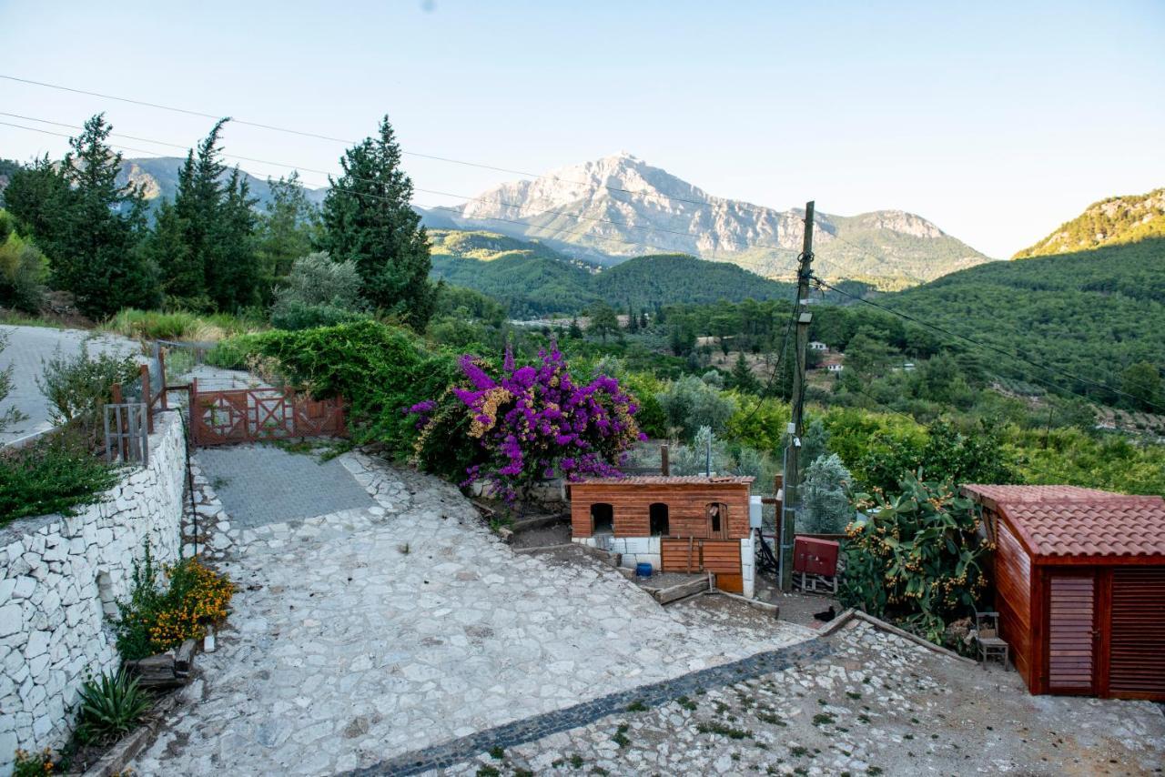 Trinitys Forest Bungalows Кемер Экстерьер фото