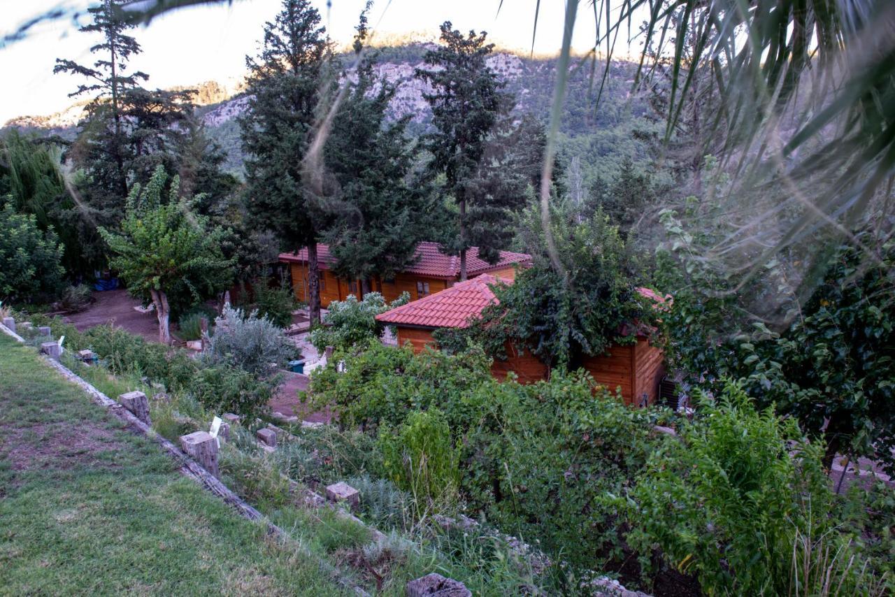Trinitys Forest Bungalows Кемер Экстерьер фото