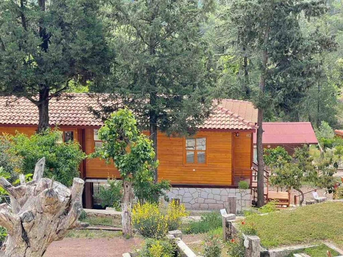 Trinitys Forest Bungalows Кемер Экстерьер фото