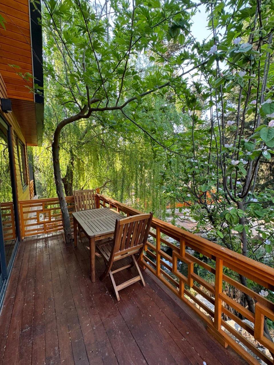 Trinitys Forest Bungalows Кемер Экстерьер фото